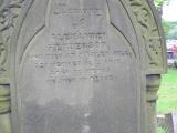 image of grave number 236666